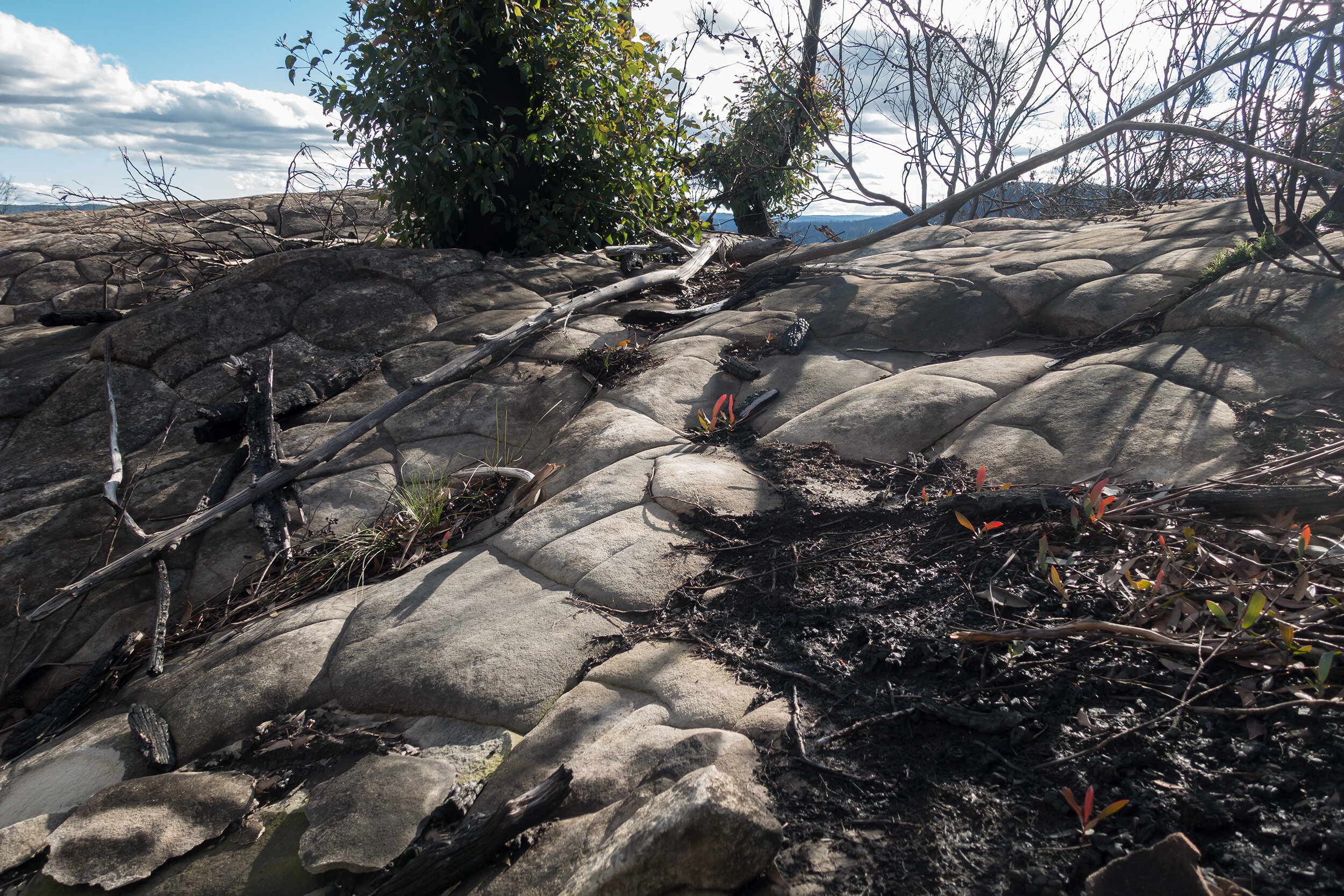 Fri 19 June 2020, vicinity Emu Cave, Blue Mountains National Park, rocks unblemished by fire.