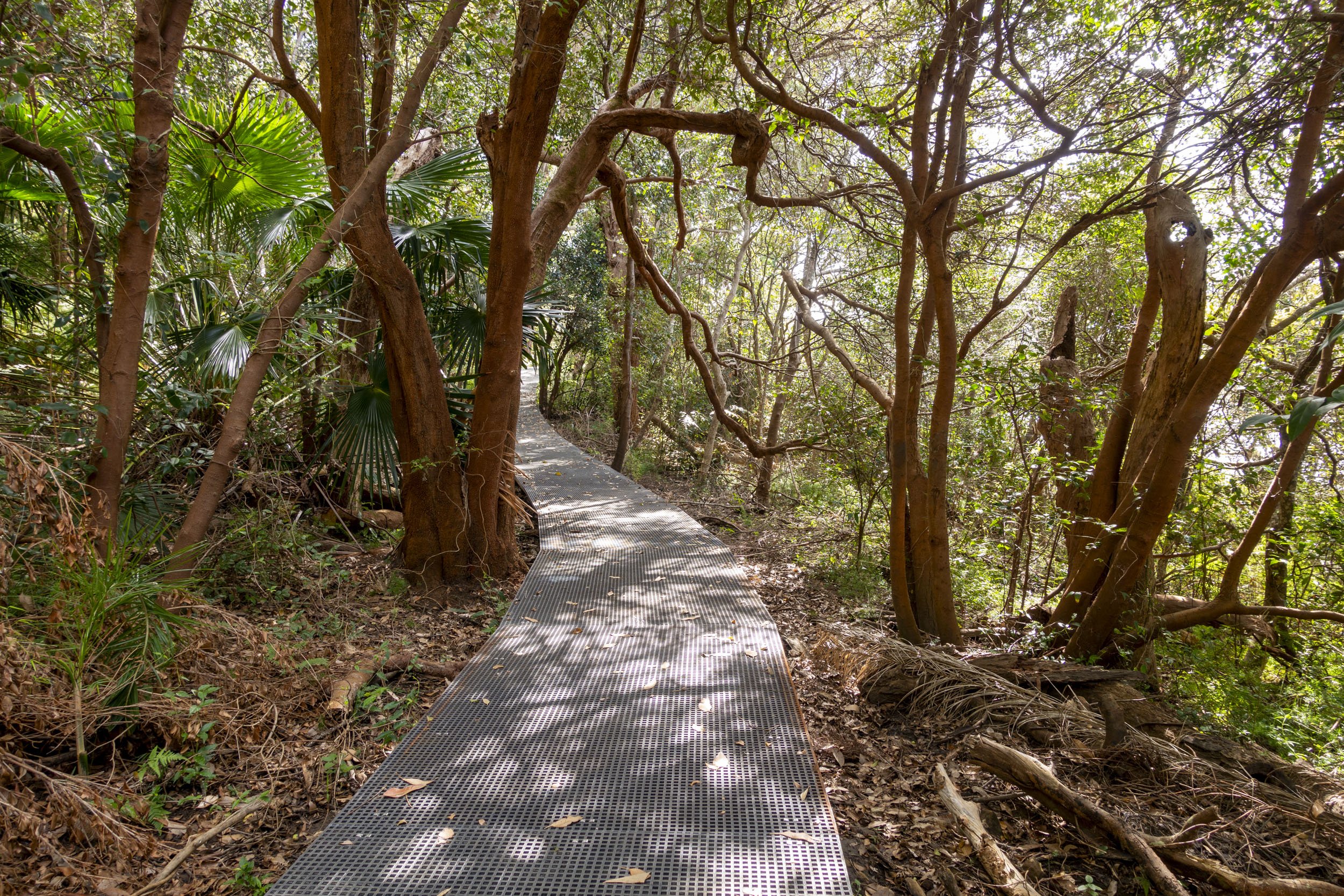 The walkway from Chowder Bay to the ASOPA precinct Middle Head hugs Sydney Harbour.