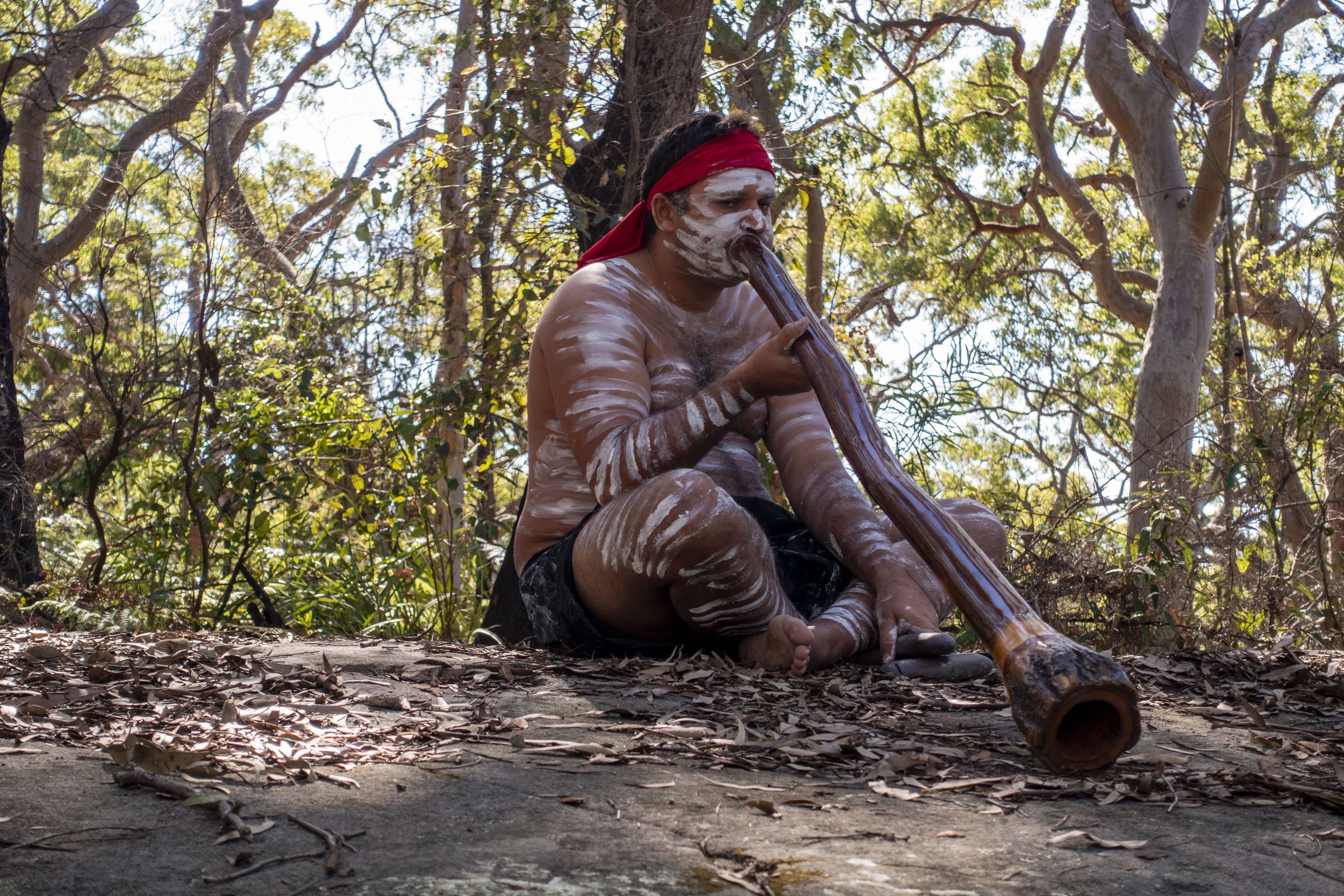 Sydney Harbour Indigenous Culture Walk, Middle Head, 2018.