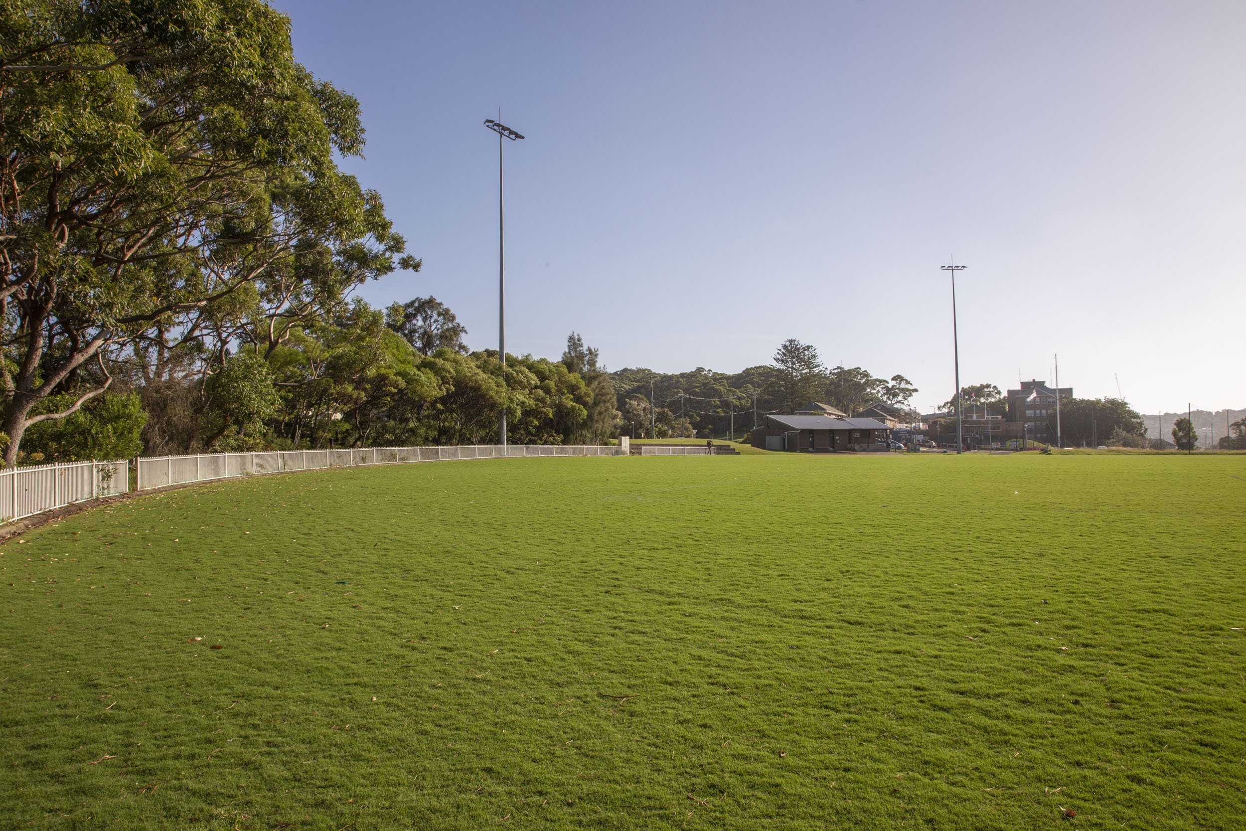 Detractors of natural turf on Middle Head Oval have been converted.