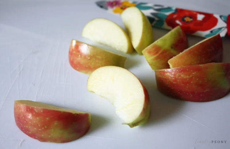 The Easiest Homemade Applesauce Ever