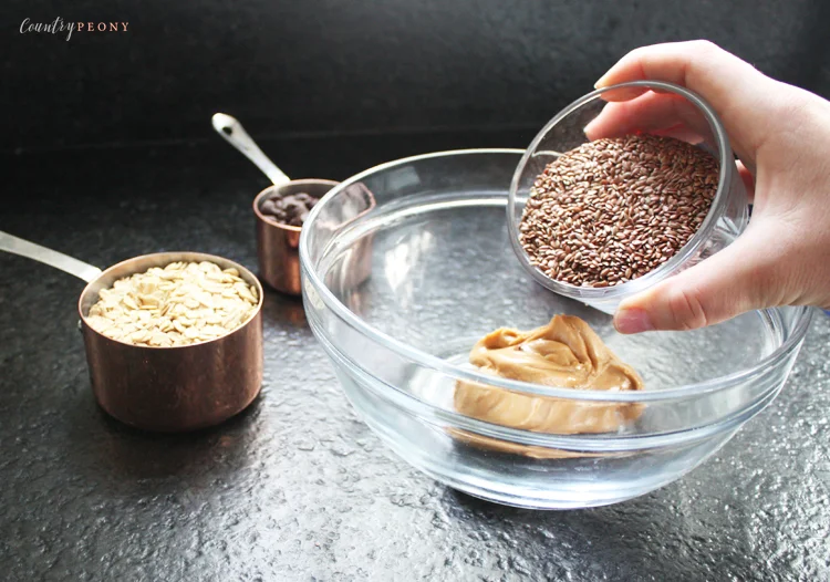 No Bake Chocolate & Dried Cranberry Energy Balls