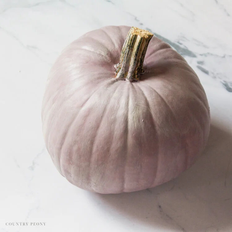 Milk Paint Pumpkins using Miss Mustard Seed's Milk Paint in Arabesque - Country Peony Blog