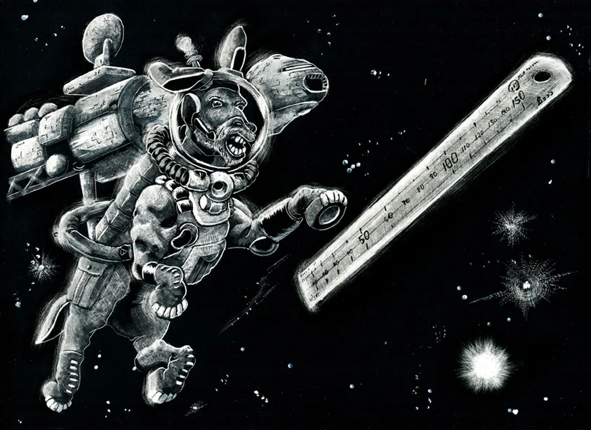 Space Donk
