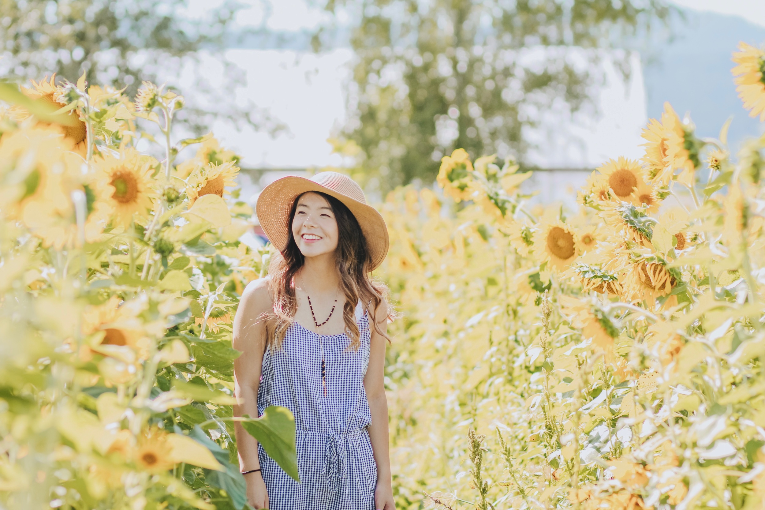 Sunflower Saturday