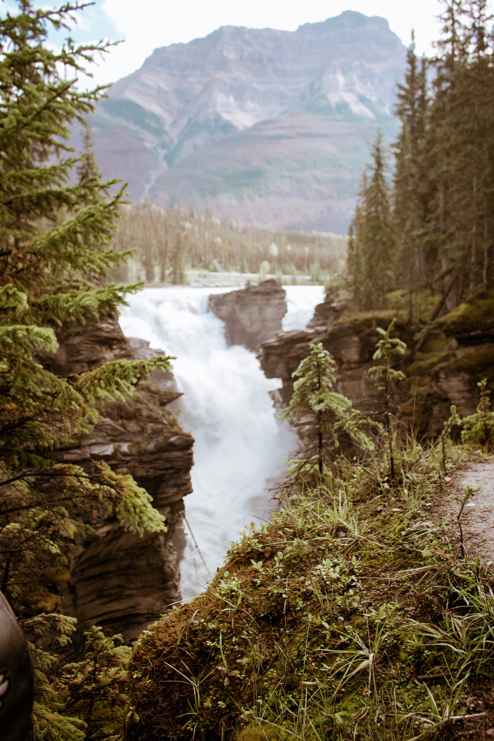 Athabasca Falls