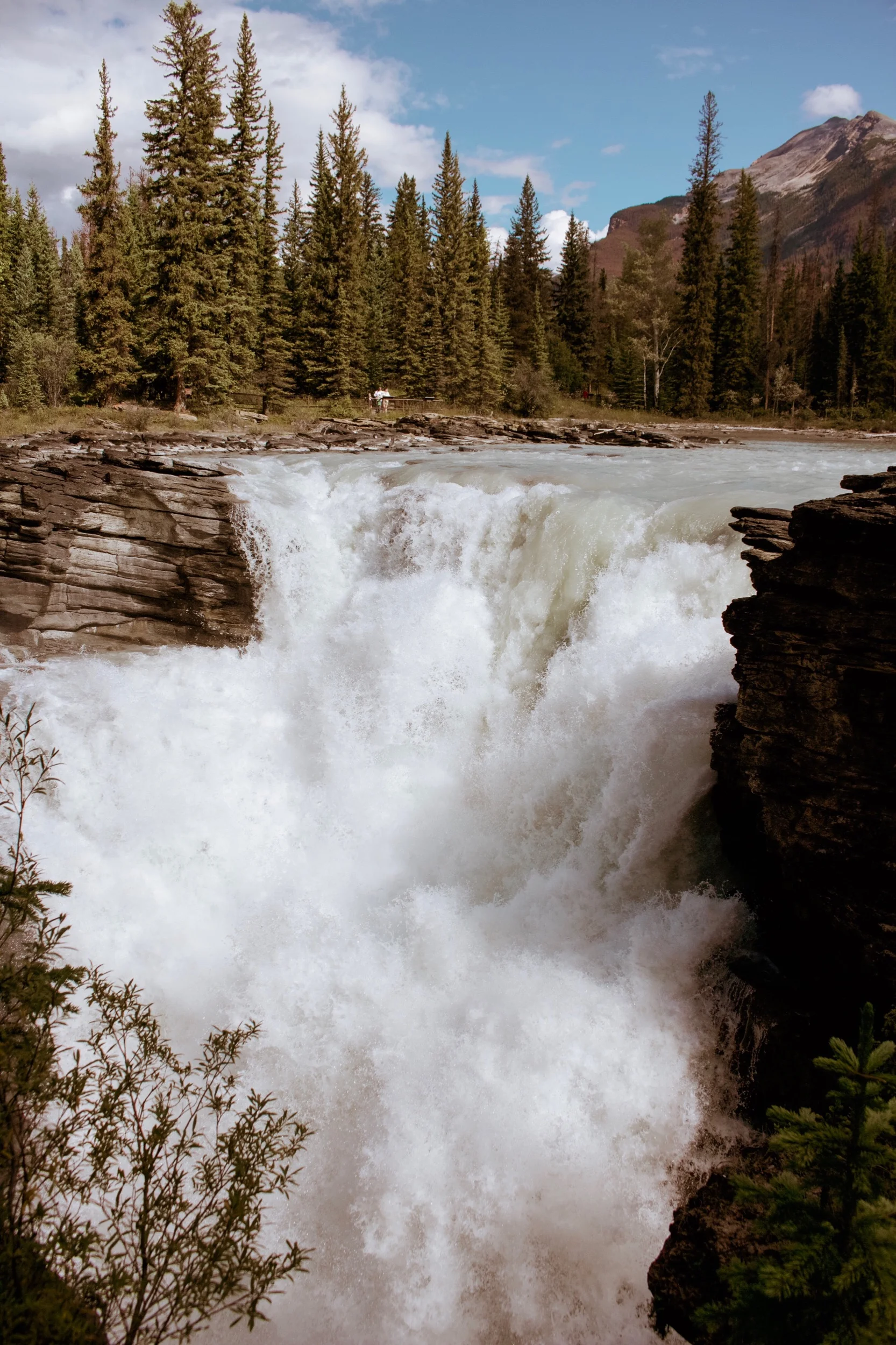 Athabasca Falls