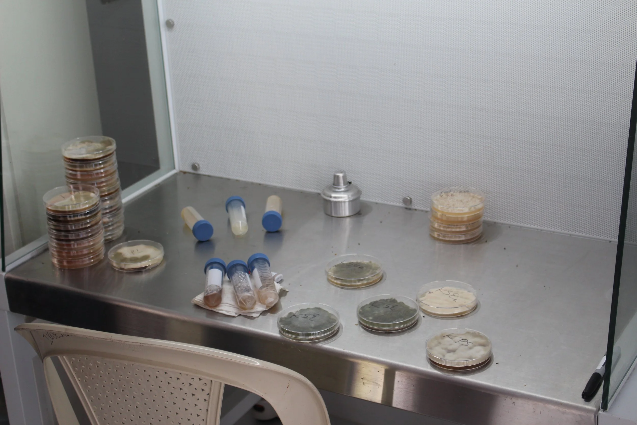 picture of lab at el paraiso.jpeg