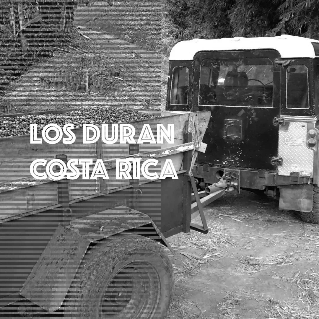 Costa Rica Los Duran Black Honey
