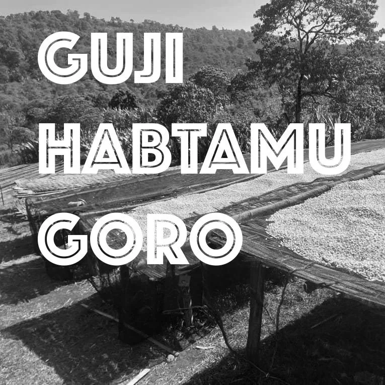 Guji Habtamu Goro - New Release