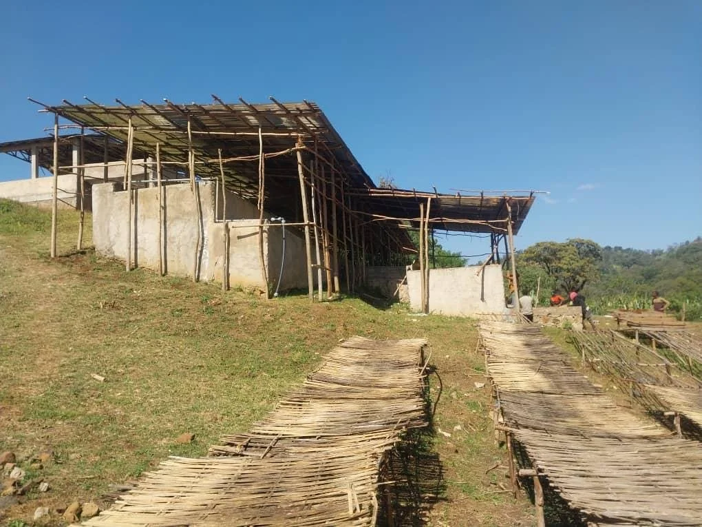 image of coffee washing station.JPG