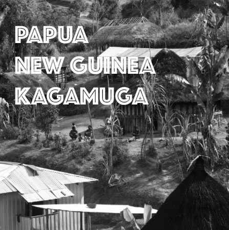 papua new guinea farm view main.jpg
