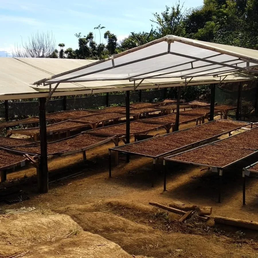 COFFEE RAISED BEDS