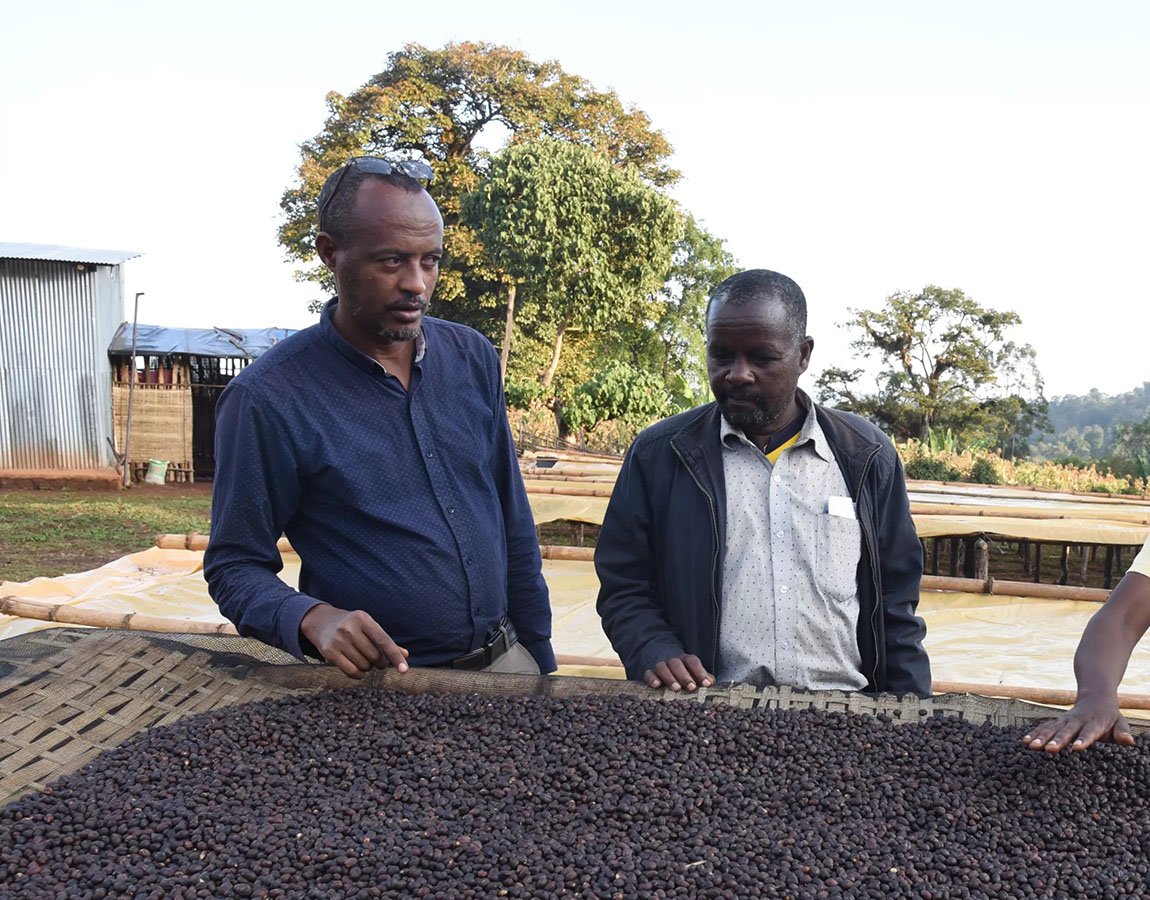 PICTURE OF COFFEE FARMER (Copy)