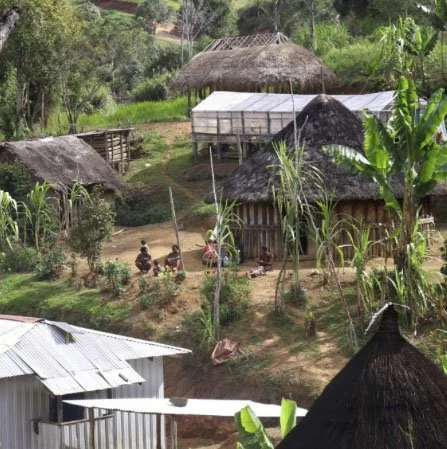 papua new guinea farm view.jpg