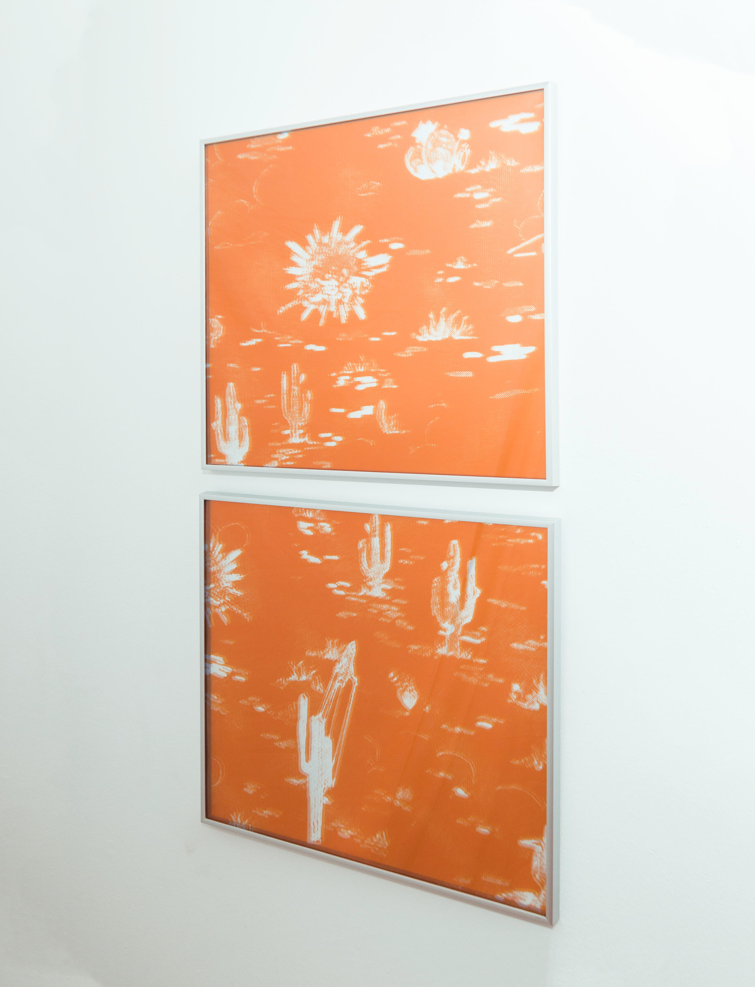 Shannon Lowe, Recursion 016 , inkjet prints and acrylic