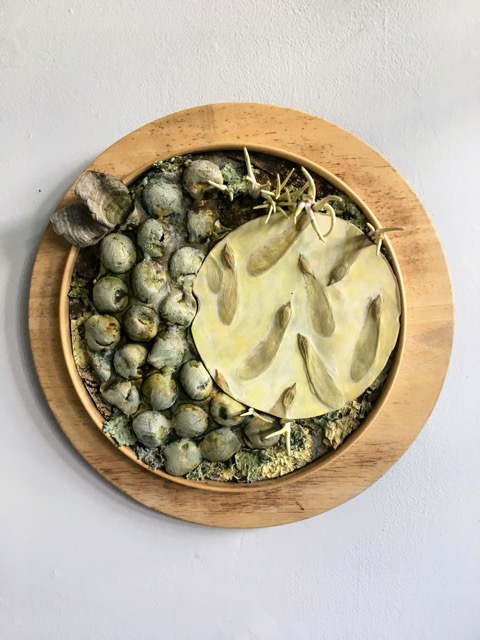 Susann Whittier, Immersed on Occassion , 2018, ceramic, plaster, wood, encaustic, bark, and moss