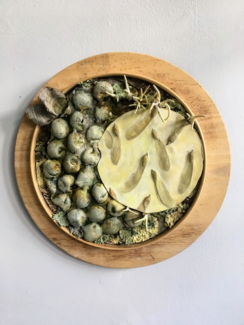  Susann Whittier,  Immersed on Occassion , 2018, ceramic, plaster, wood, encaustic, bark, and moss 