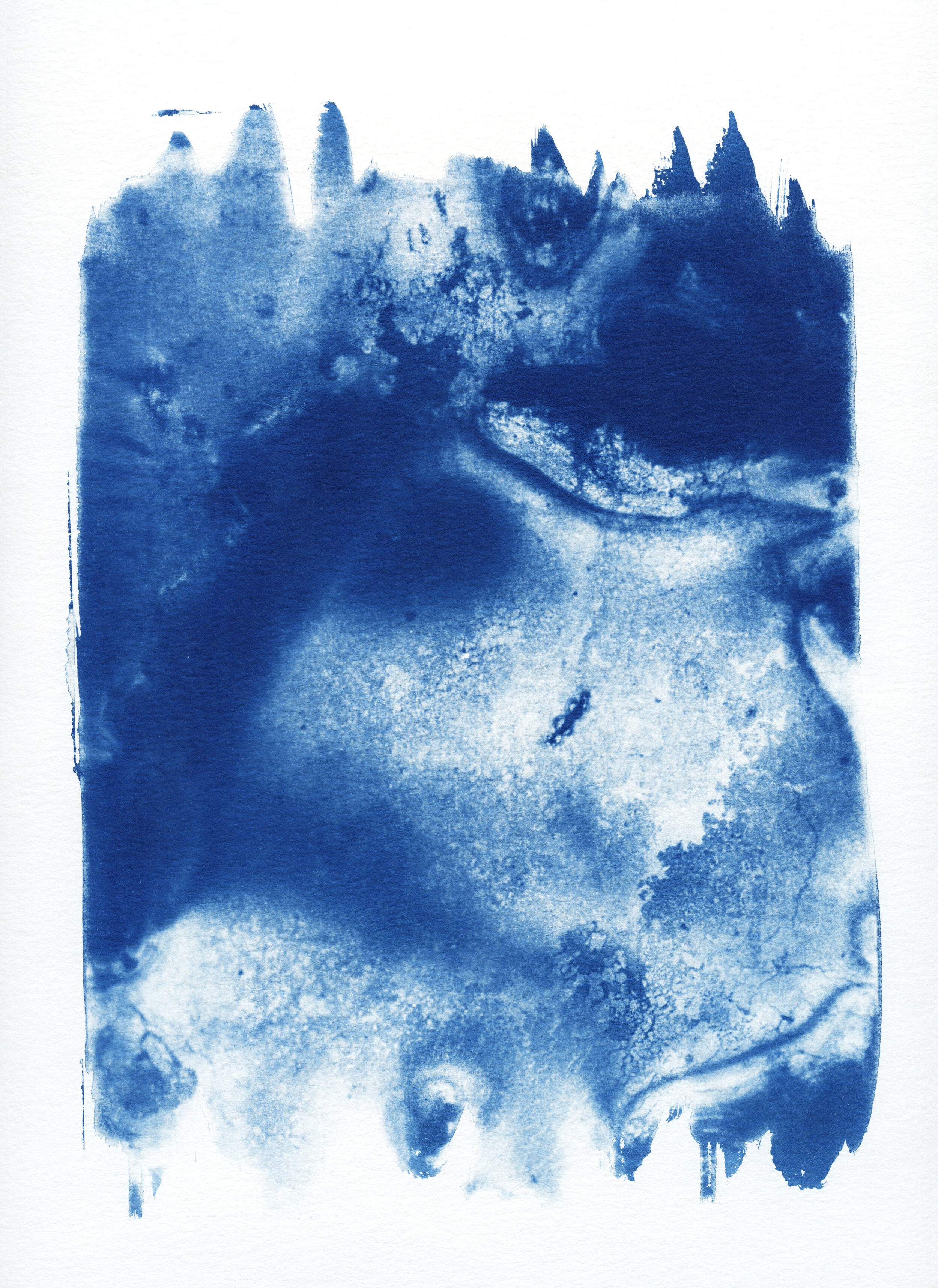  Elson Bickford, OA Mentor + Emerging Creatives  Untitled , Cyanotype Print 