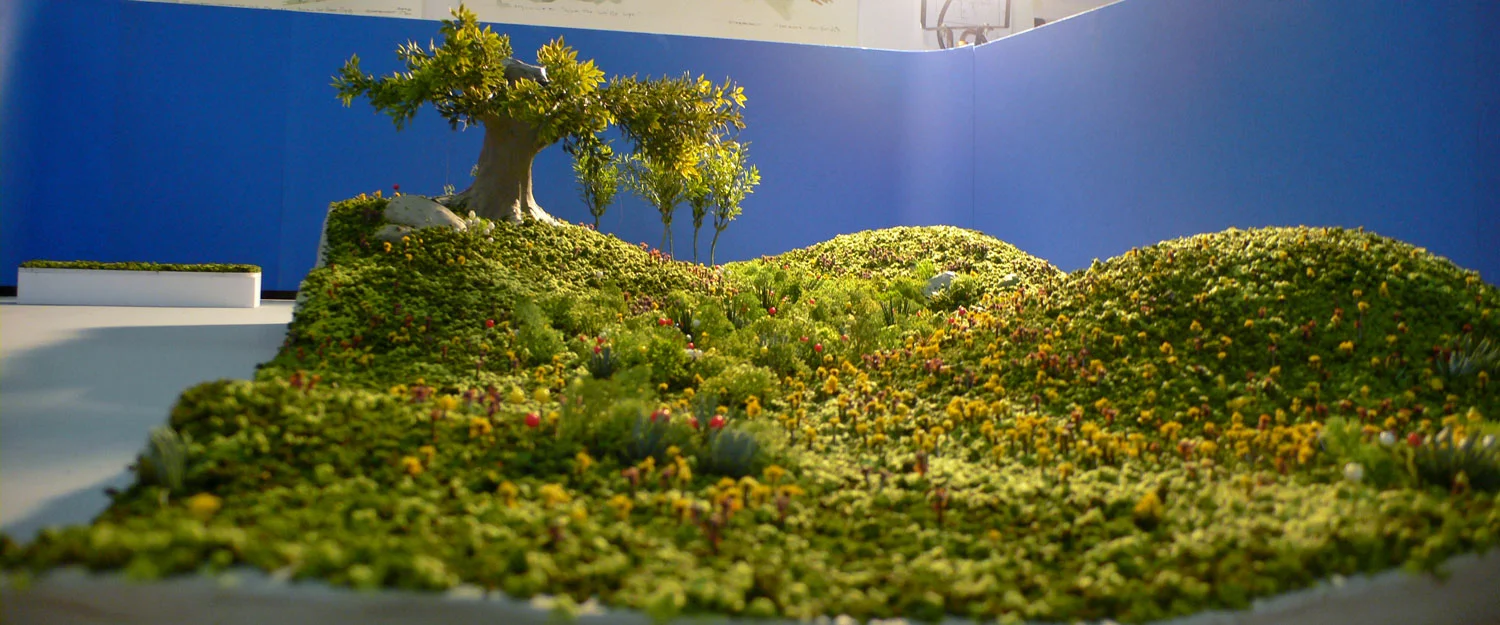 Scale Model, for landscape build.