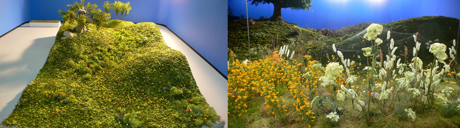 Scale Model & Set photograph, of landscape build.