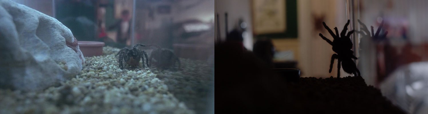 Home_Alone_9.jpg