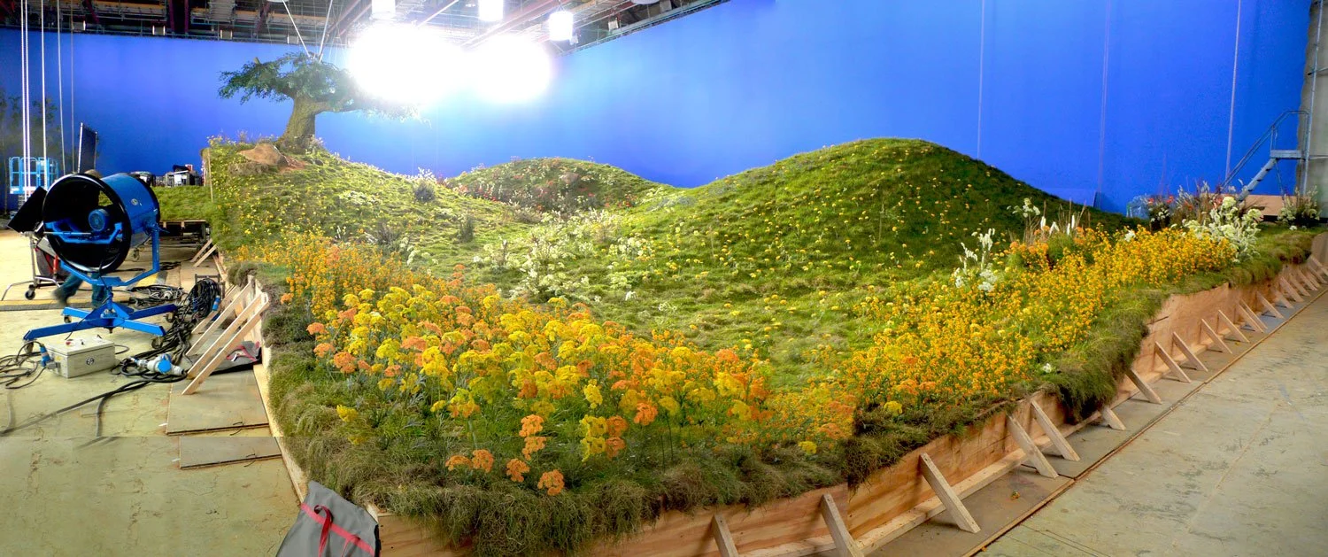 Muller_joiner_landscape3SS.jpg