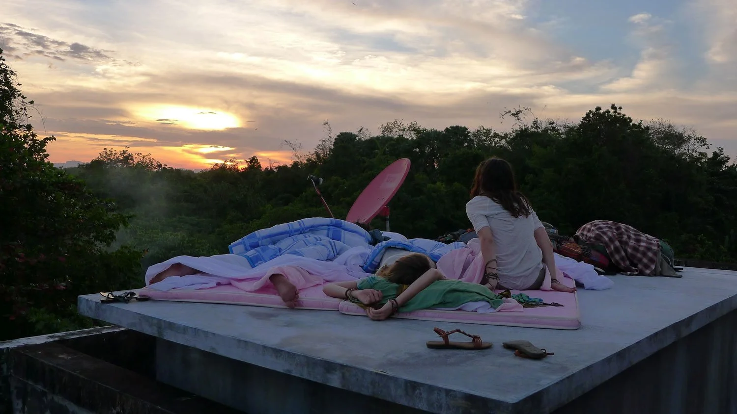 NESTEA_ROOF-SS.jpg