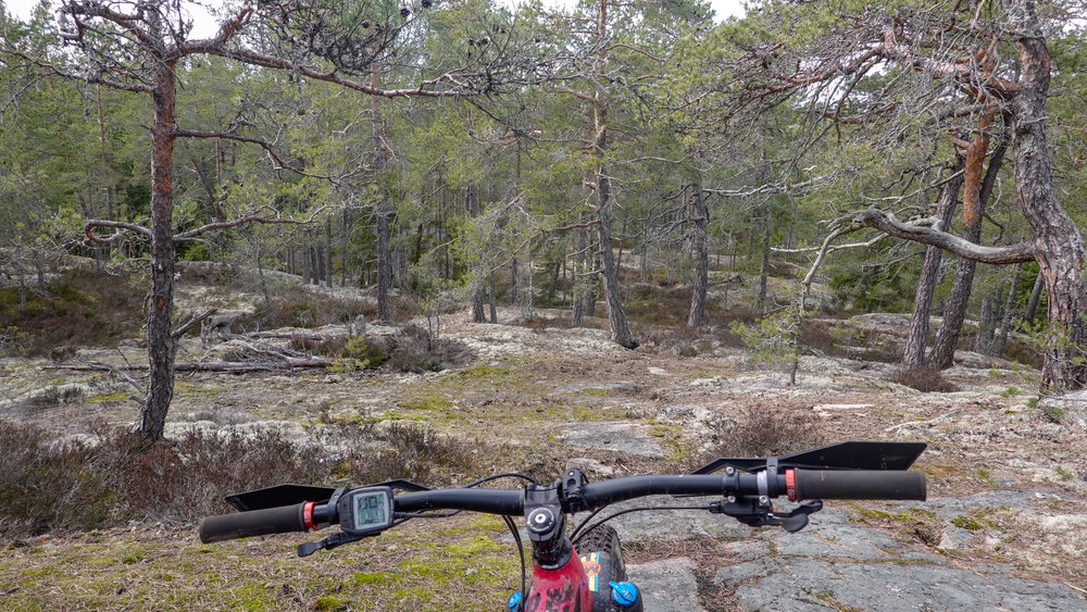 Moustache_behindbars_top_of_the_trail.jpg