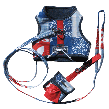 surferharnessleash.gif