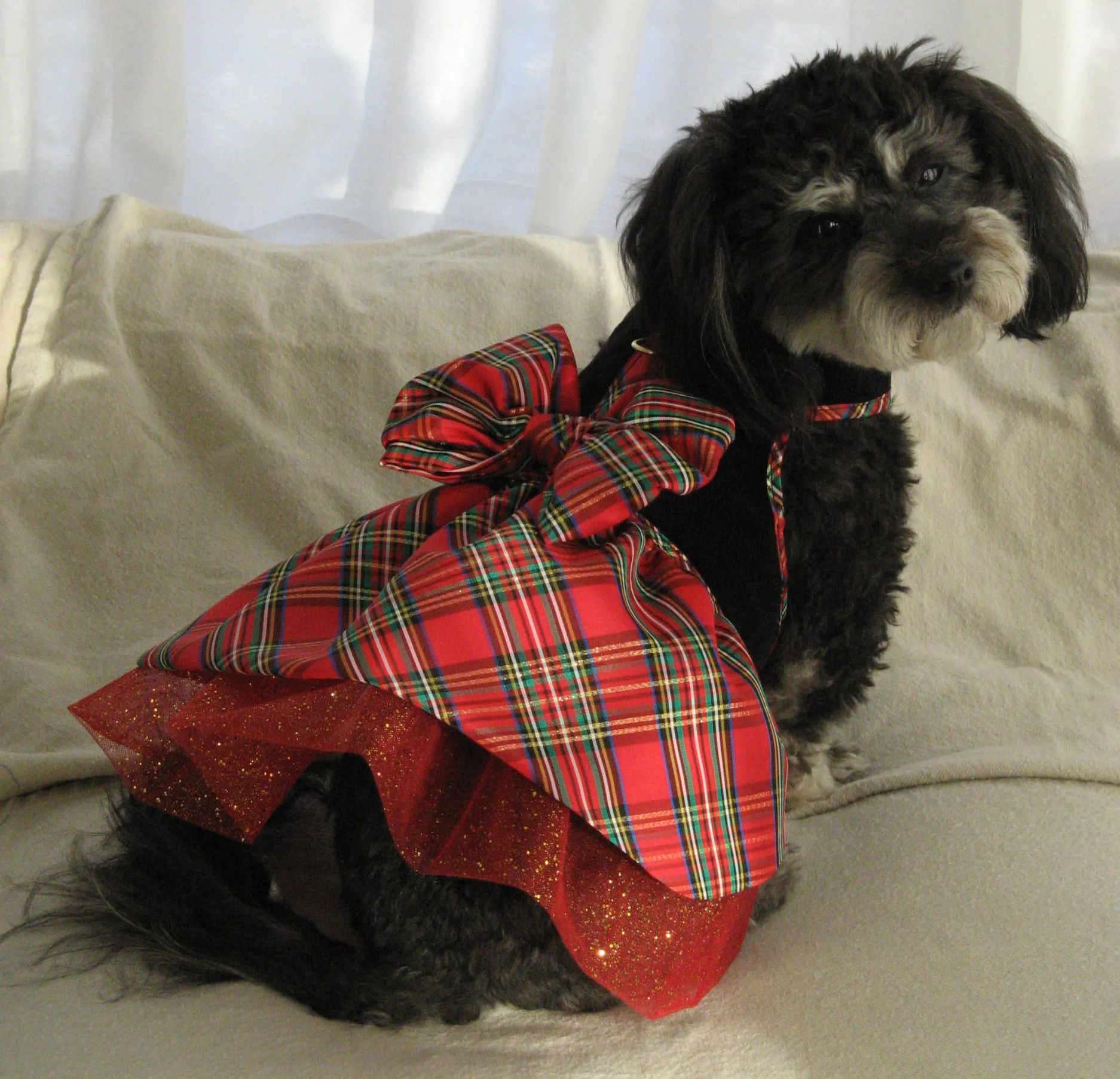 Christmas Angel Harness Dress