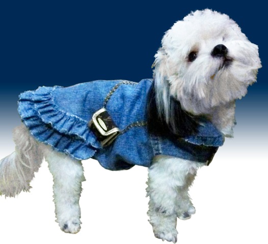 Rodeo Drive Jean Jacket