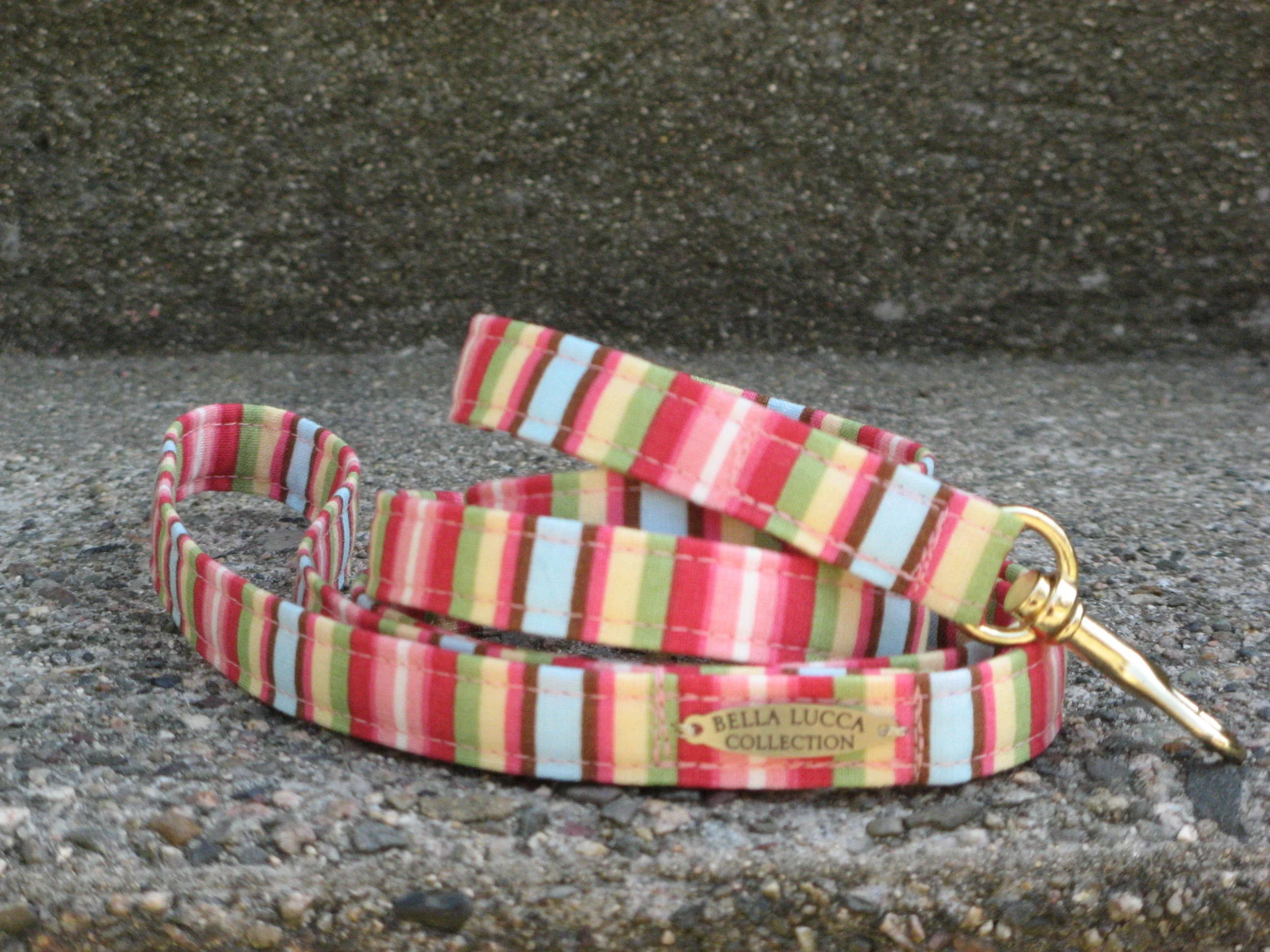 beach bag leash 3.jpg