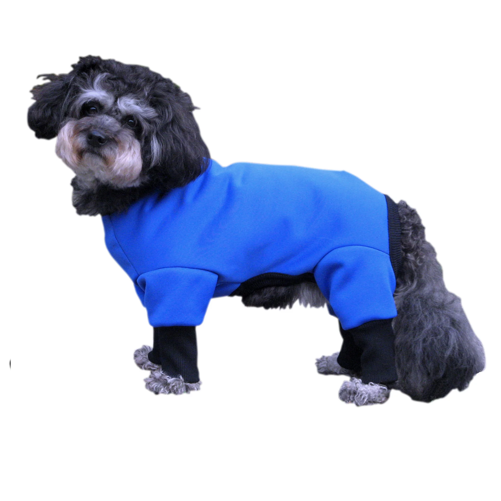royal polertec snowsut.jpg