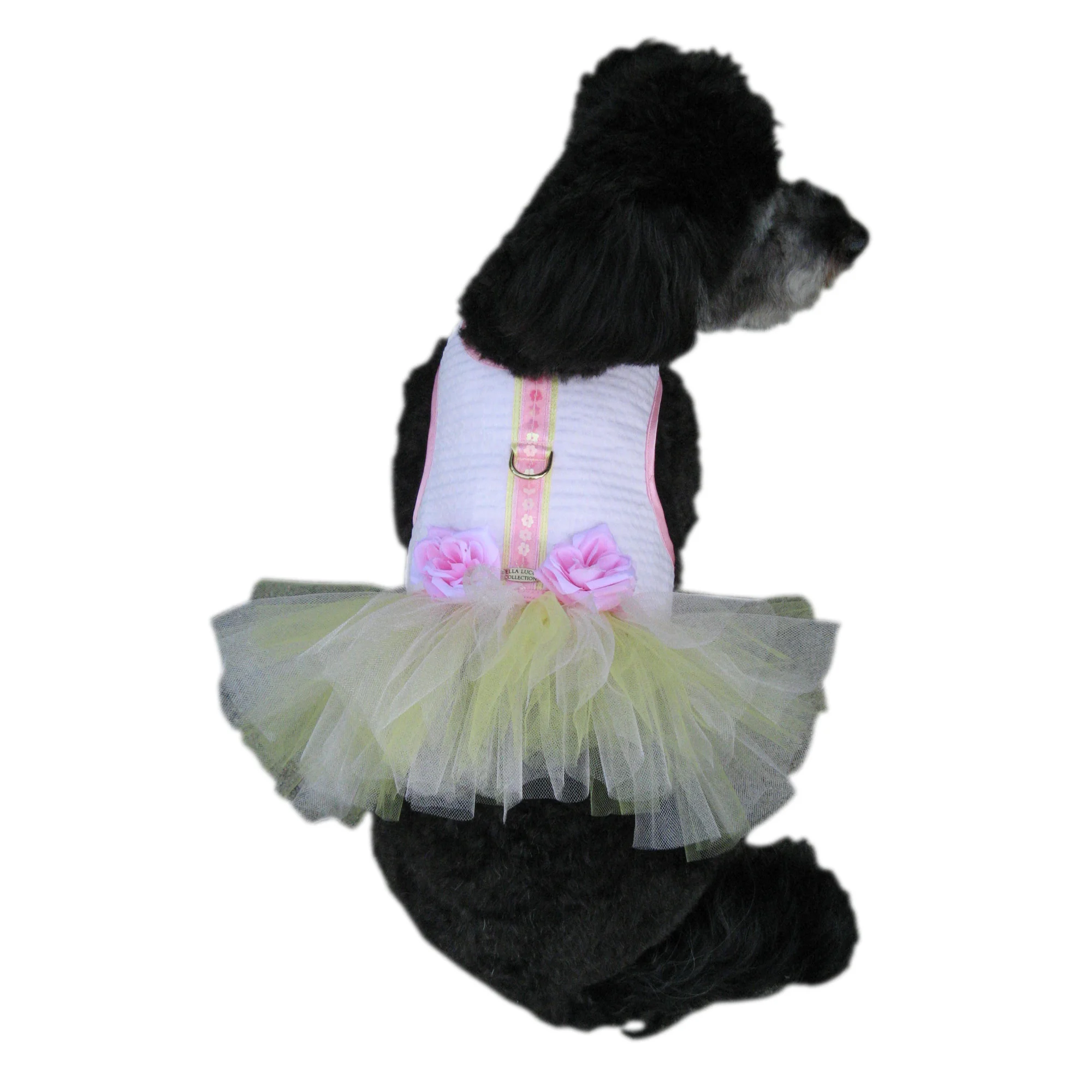 sugar plum back.jpg