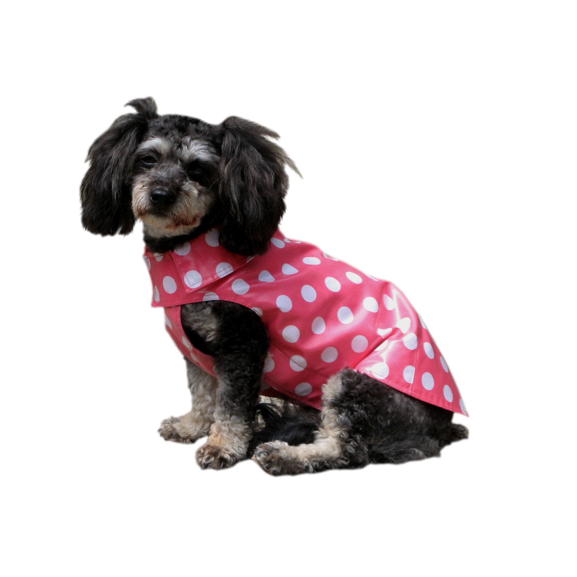 provincetown raincoat.jpg