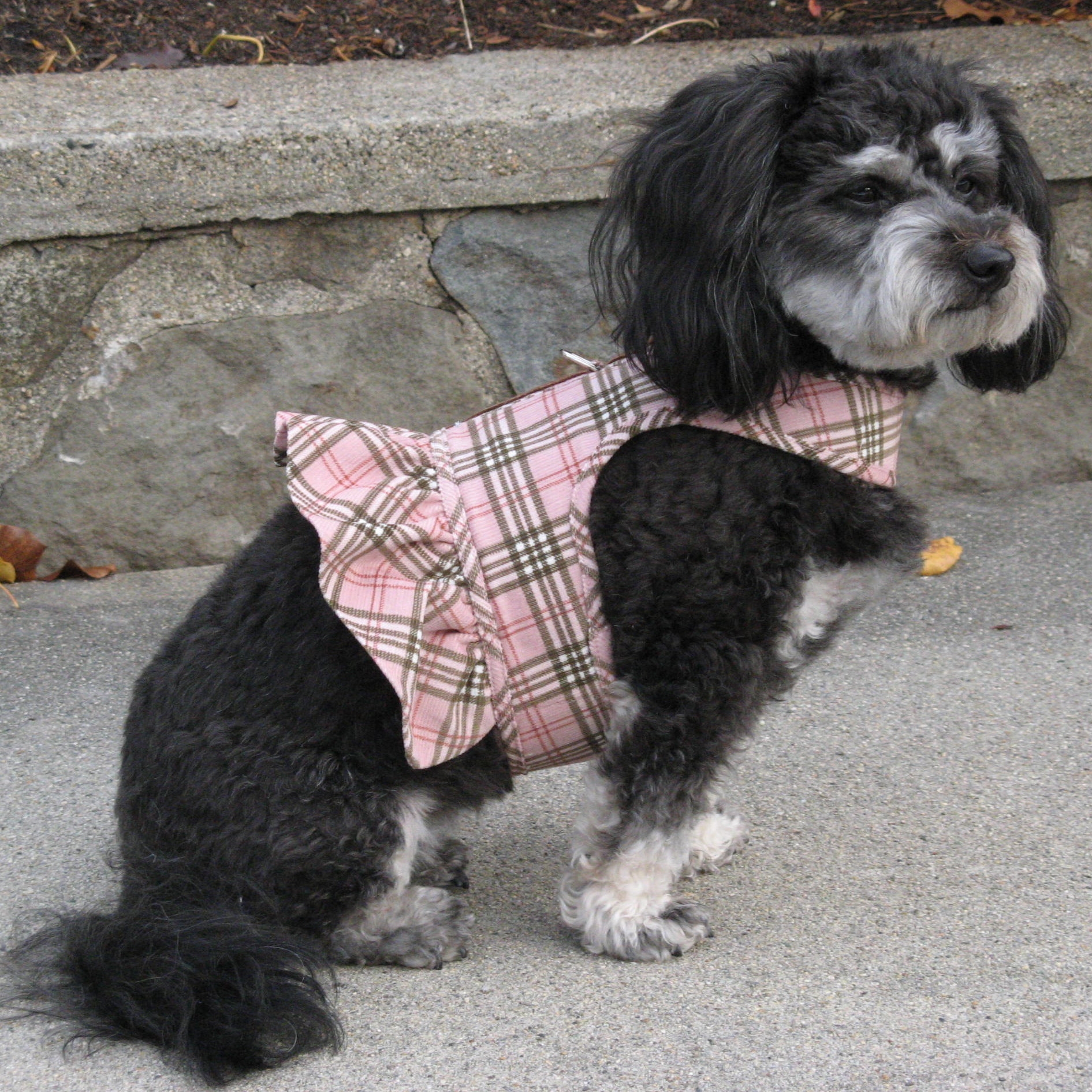 Sophie Harness side.jpg