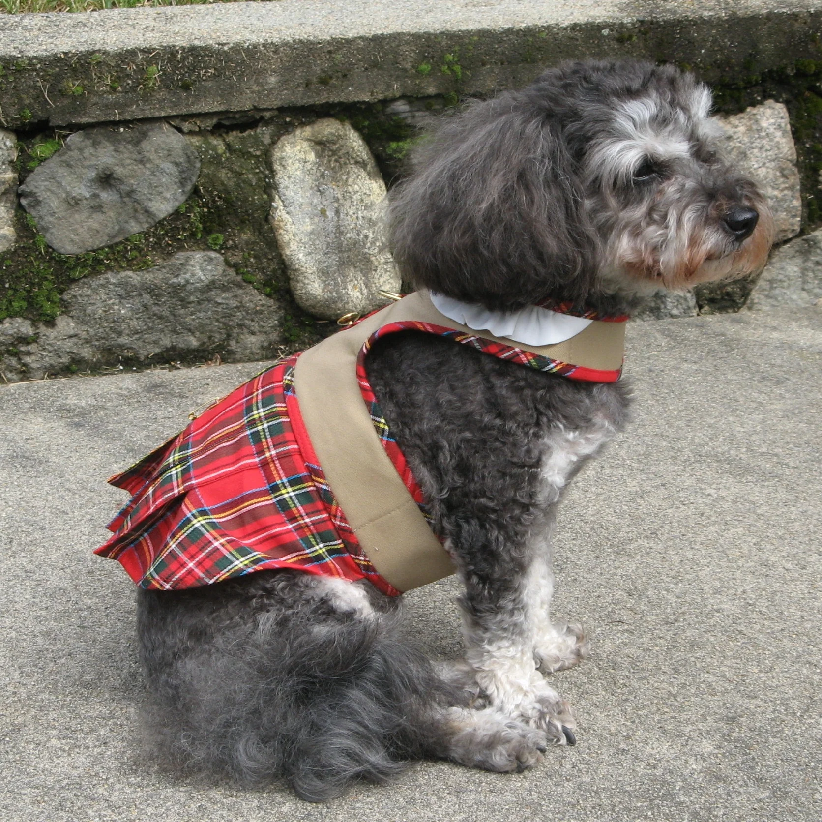 Kilt Harness side close.jpg