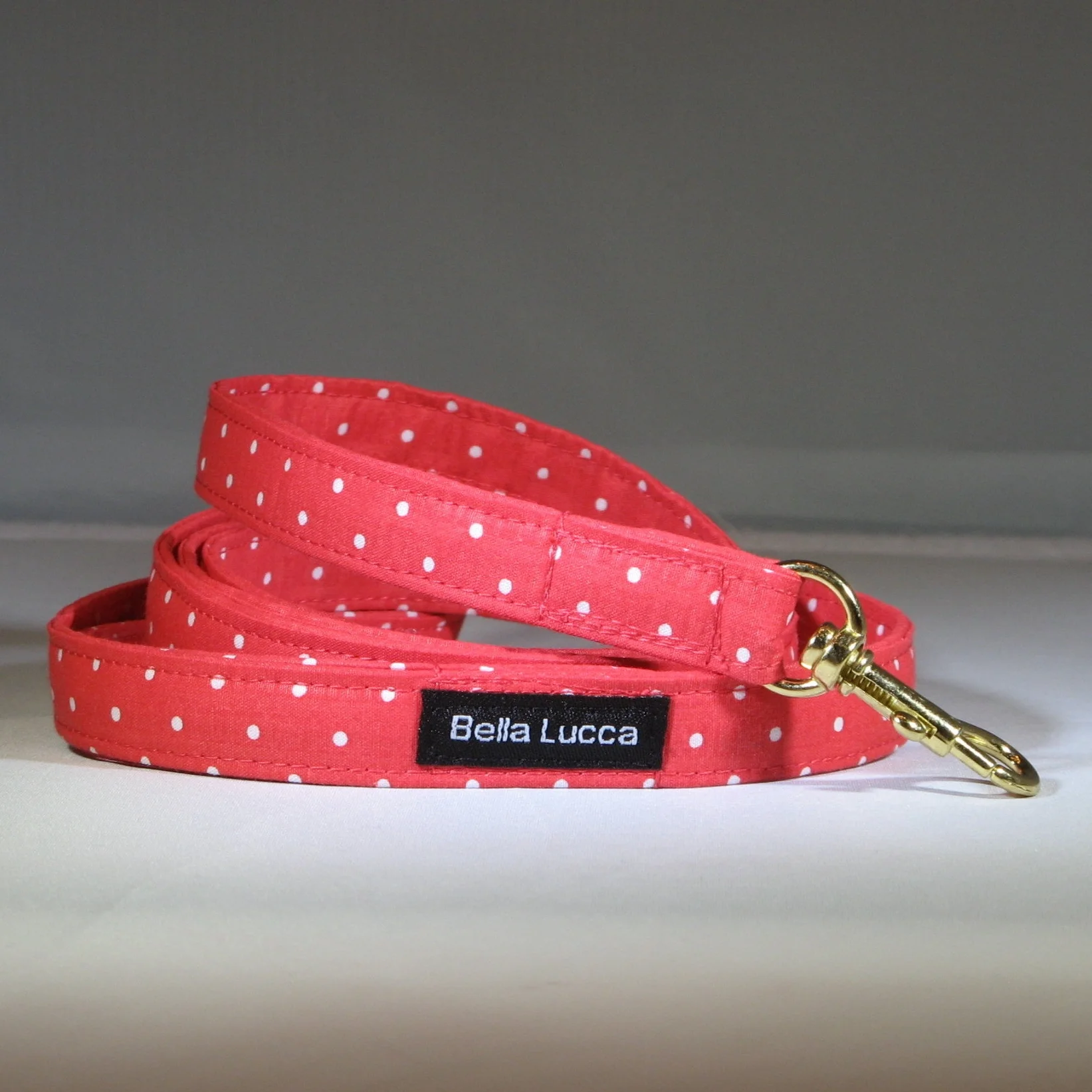 red polka dot leash.jpg
