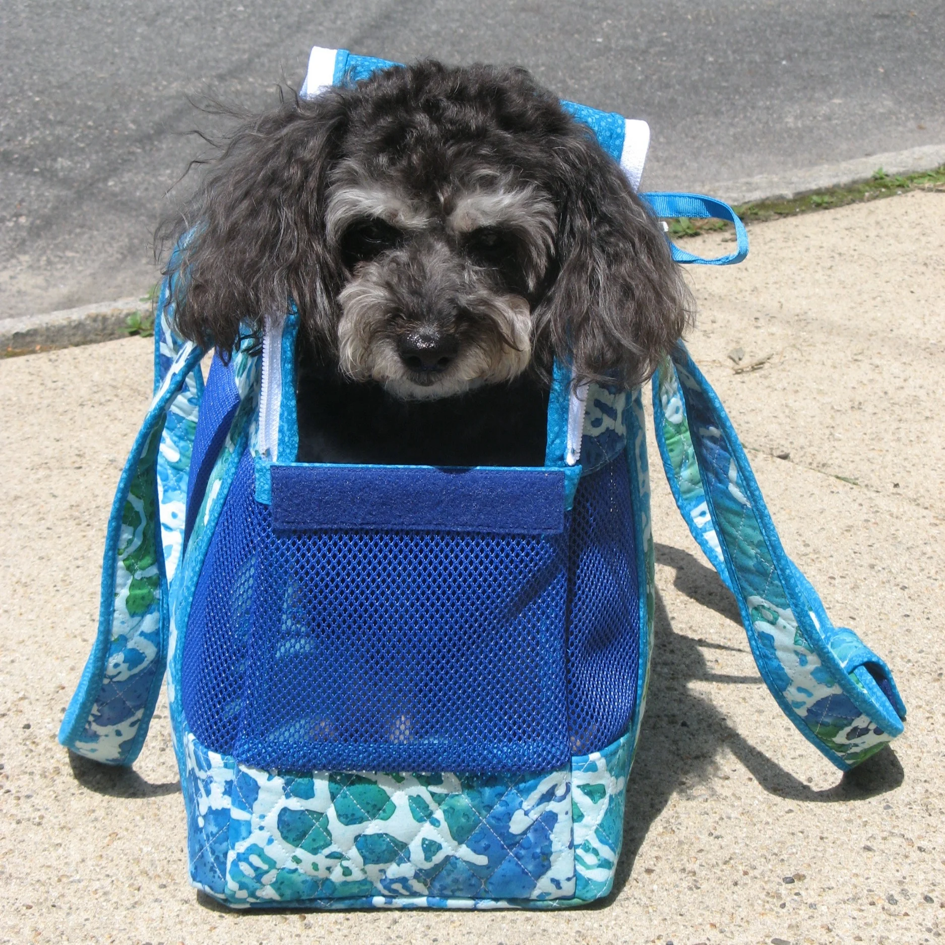 Ocean+Breeze+Carrier+Lucca+2.jpg