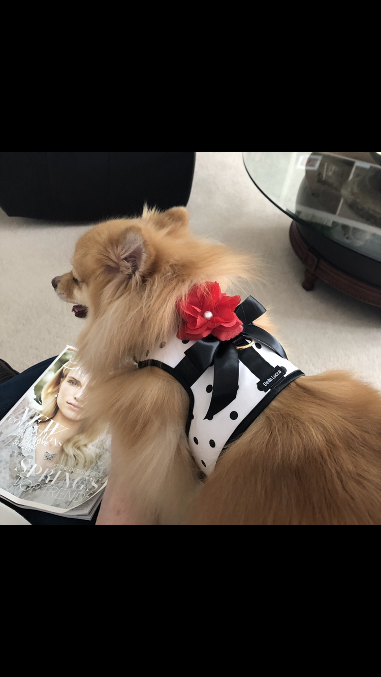 Karyn MItchell Kaci Hepburn.PNG