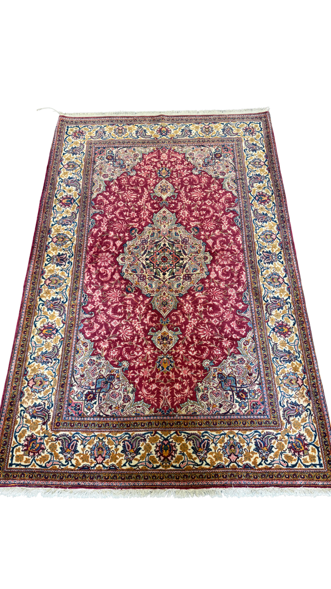 Untitled design 6.PNG