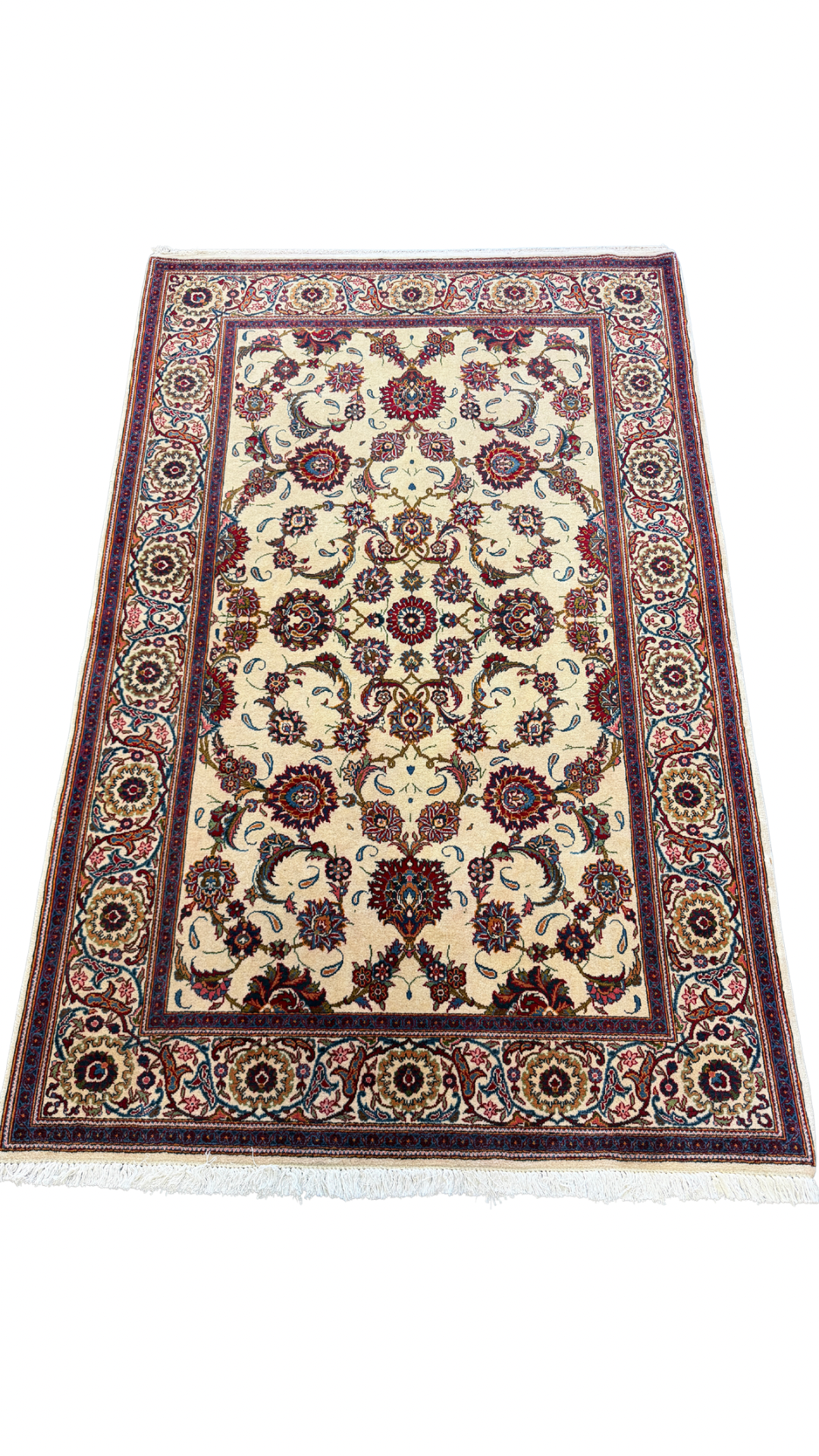 Untitled design 7.PNG