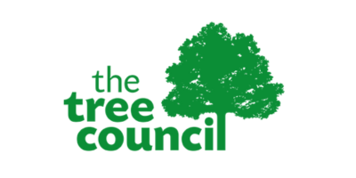 The Tree Council, Bakhtiyar, Rug, Persian Rug, Stockbridge, Hampshire, Wiltshire, Dorset