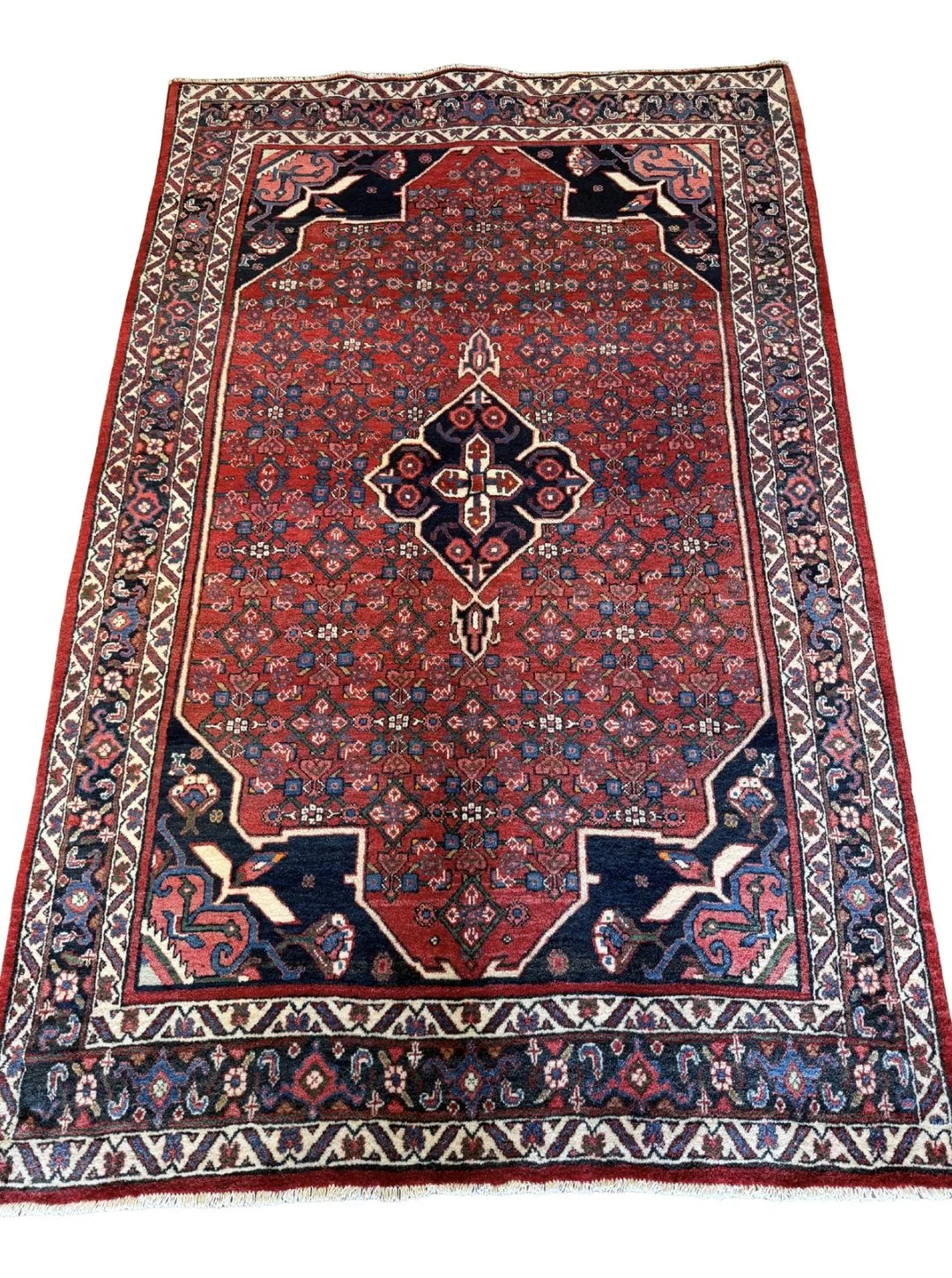 Untitled design 16.jpg