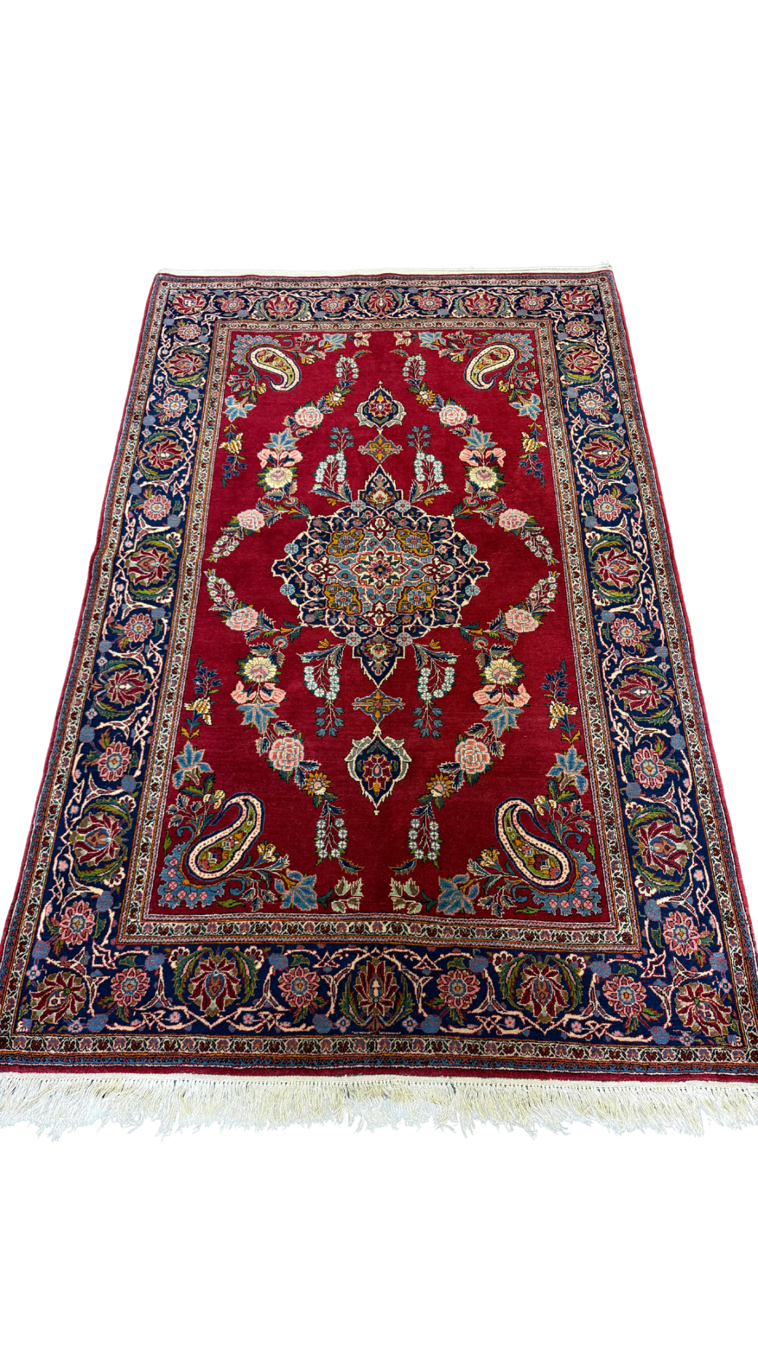 Untitled design 5.PNG