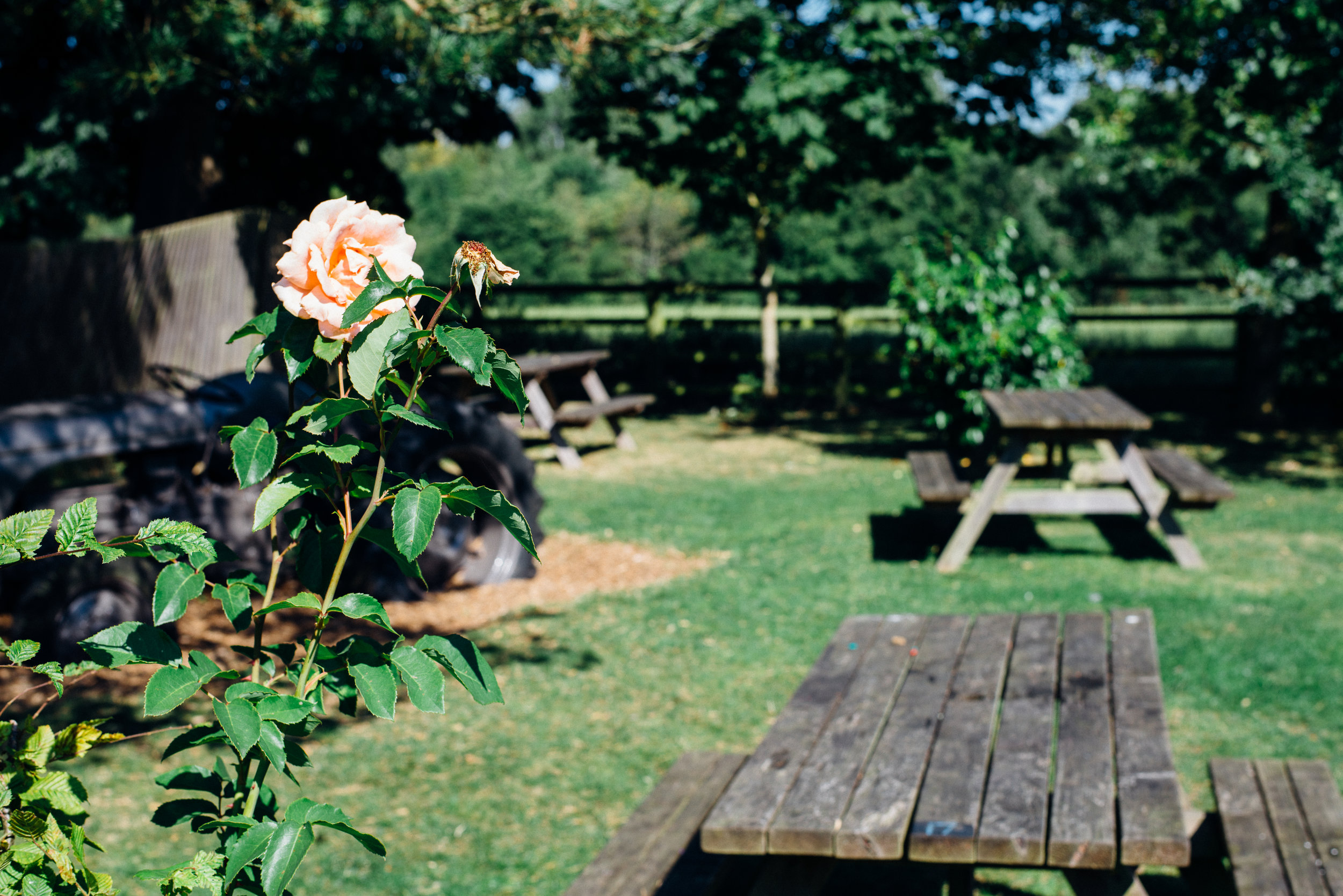 BW 2016 OUTSIDE SEATING 4.jpg