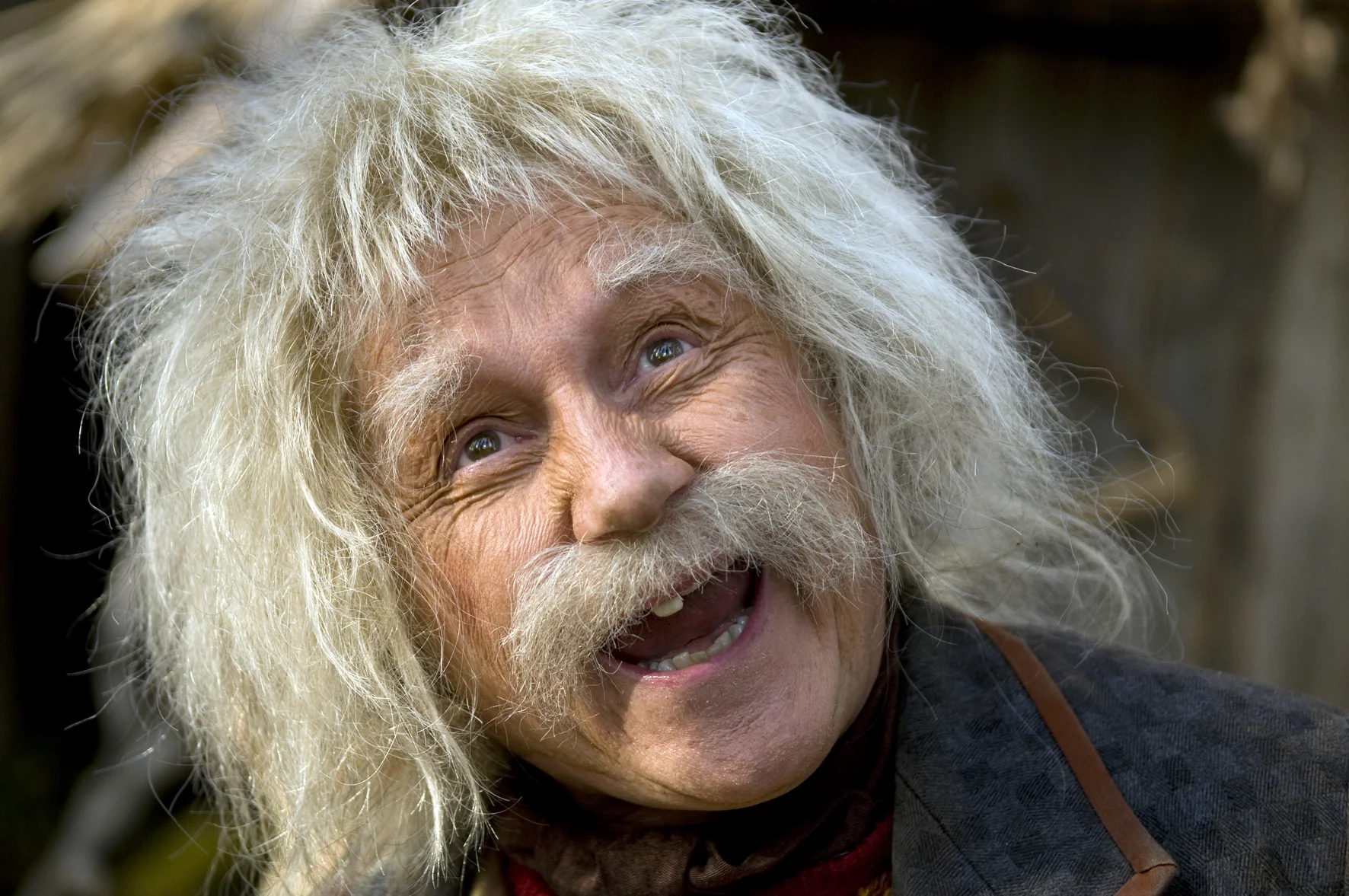 ROllipressi6.jpg