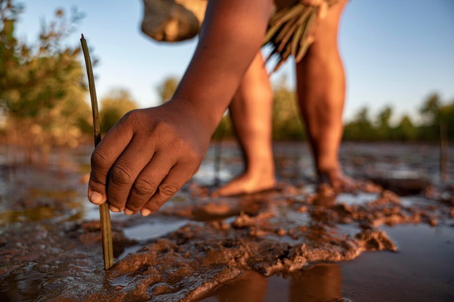 Eden Reforestation Project Madagascar Planting Season.jpg