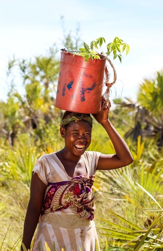 Eden Reforestation Project Madagascar Tree-Nation.jpg